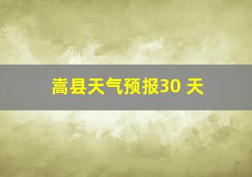 嵩县天气预报30 天